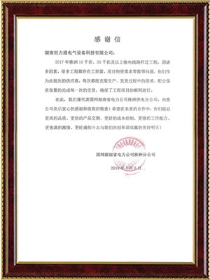 国网湖南省电力公司株洲分公司